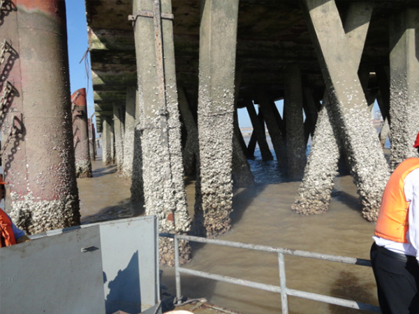Repair of exposed reinforcement due to concrete corrosion in docks