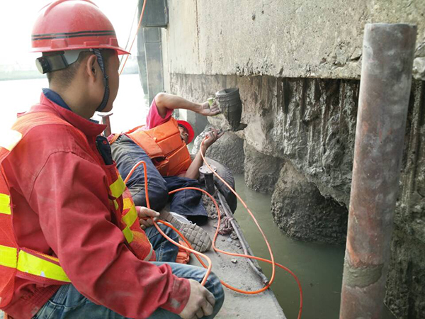 Repair of exposed reinforcement due to concrete corrosion in docks