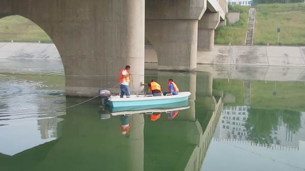 Mold prevention treatment for concrete