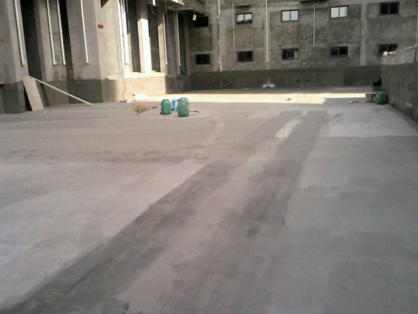 RD-MD Modified Polymer Waterproof Coating