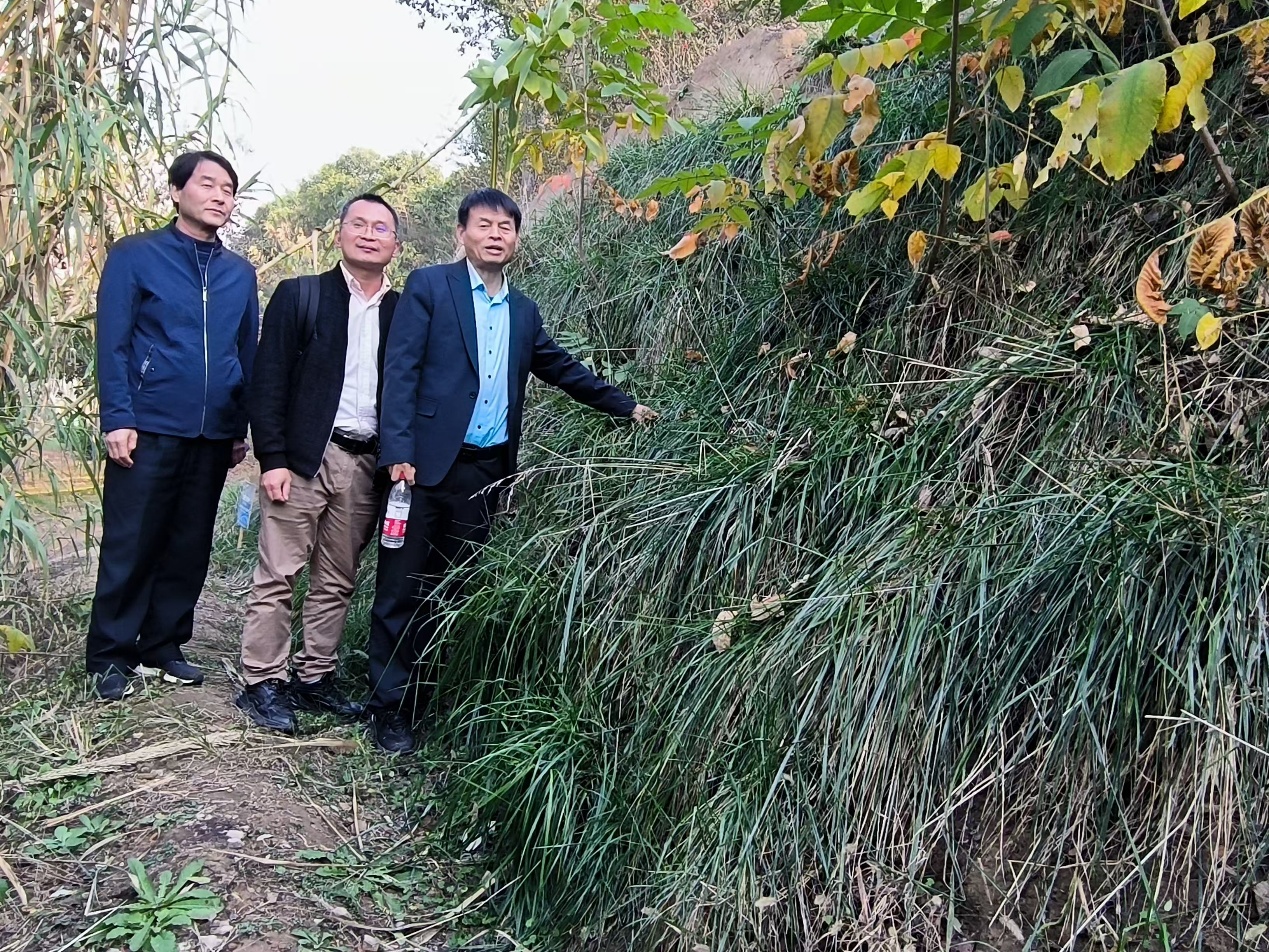 Zhengsai's ecological slope technology has been recognized